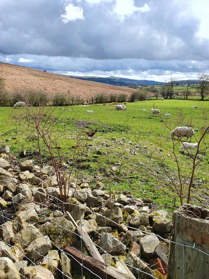 Wales' Highest Village - The Chartist Cottage - Trefil Tredegar Exterior photo